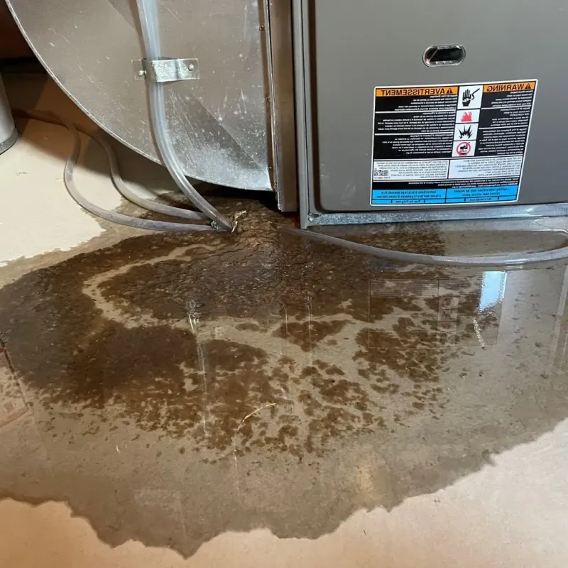 Pipe Burst and Leak Restoration in Lake Luzerne, NY