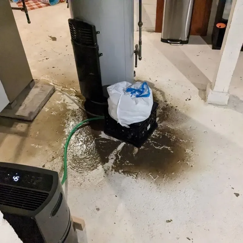 Sewage Backup Cleanup Service in Lake Luzerne, NY